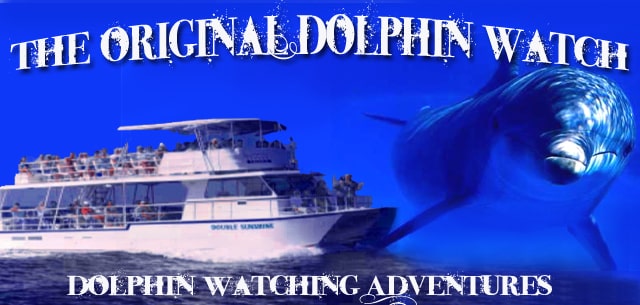 Dolphin Watch Headquarters - dolphin watching in South Padre Island Texas